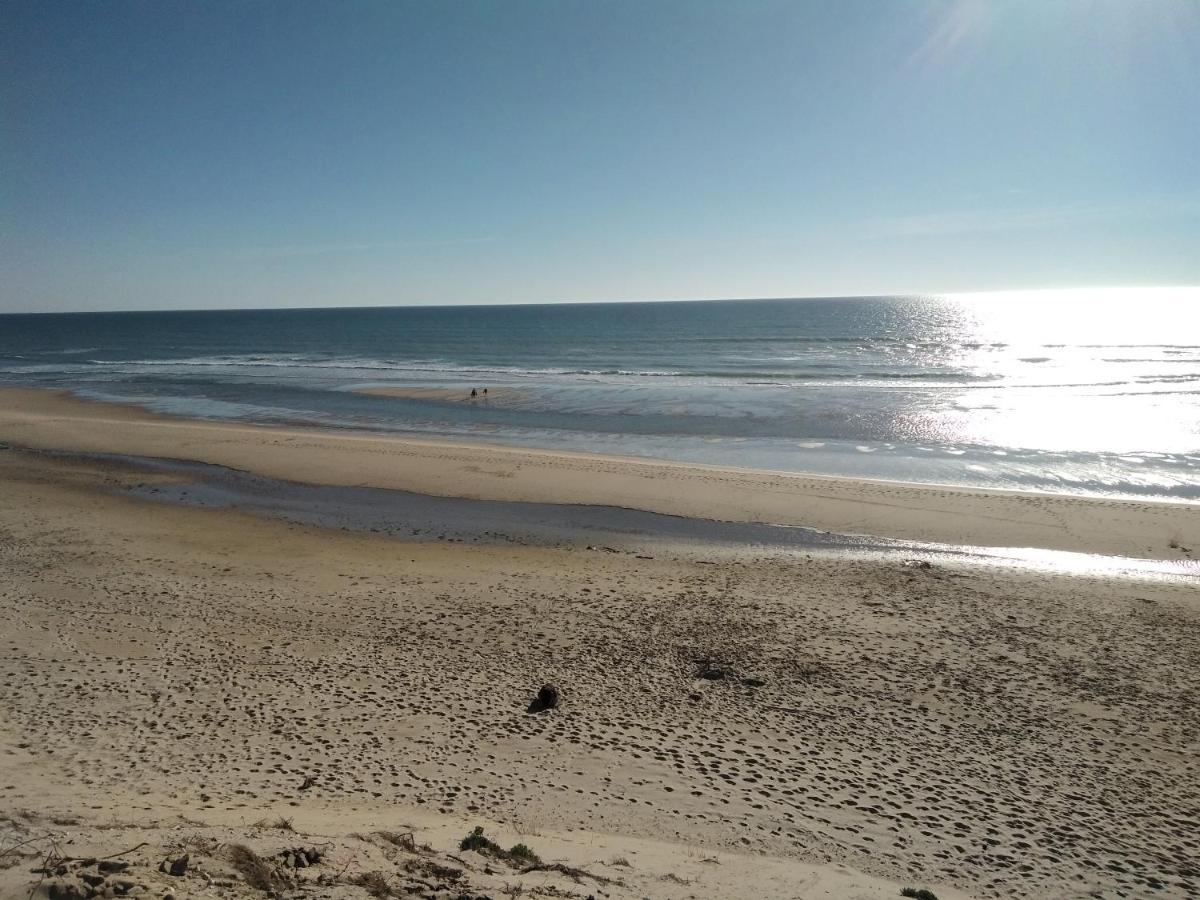 Hotel Zenzela Surf House Naujac-sur-Mer Zewnętrze zdjęcie